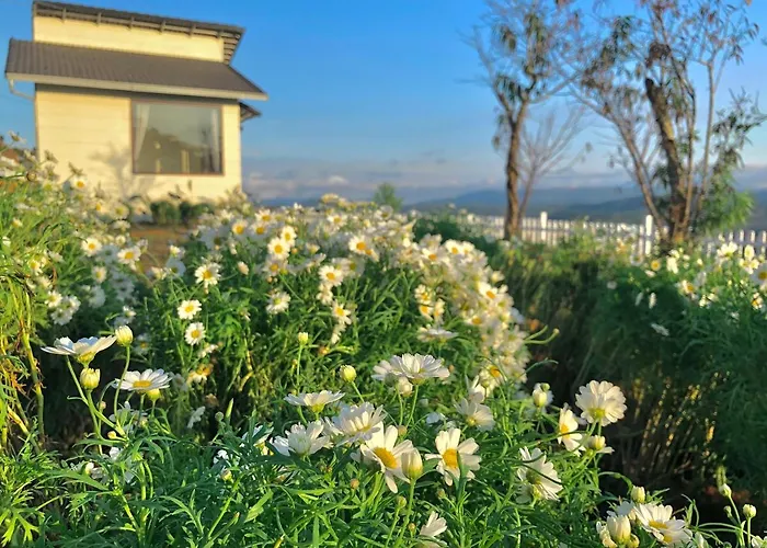 Canh Dong May Homestay Da Lat